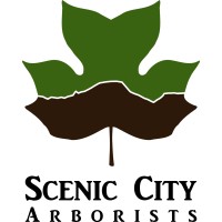 Scenic City Arborists logo, Scenic City Arborists contact details