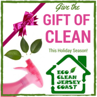 Eco Clean Jersey Coast logo, Eco Clean Jersey Coast contact details