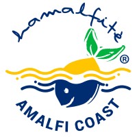 Hamalfitè Beachwear logo, Hamalfitè Beachwear contact details