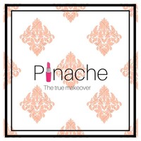 Pinache logo, Pinache contact details