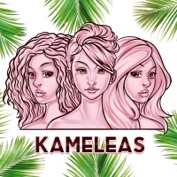 Kameleas logo, Kameleas contact details