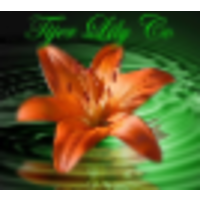 Tijer Lily Co logo, Tijer Lily Co contact details