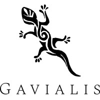 Gavialis logo, Gavialis contact details