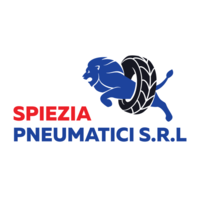 Spiezia Pneumatici Srl logo, Spiezia Pneumatici Srl contact details