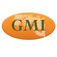 Global Marketing Intelligence logo, Global Marketing Intelligence contact details