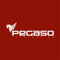 Pegaso Informatica Srl logo, Pegaso Informatica Srl contact details