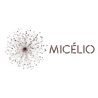 Micélio logo, Micélio contact details