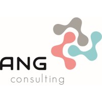 ANG consulting logo, ANG consulting contact details