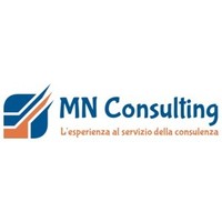 MN Consulting logo, MN Consulting contact details