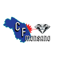 CFmonsano di Barbini S. Ruggieri P. Fiordelmondo L. s.n.c. logo, CFmonsano di Barbini S. Ruggieri P. Fiordelmondo L. s.n.c. contact details