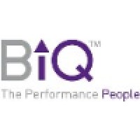 BIQ Associates logo, BIQ Associates contact details