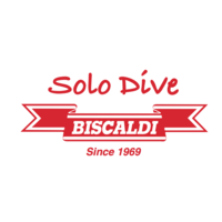 Biscaldi Srl logo, Biscaldi Srl contact details