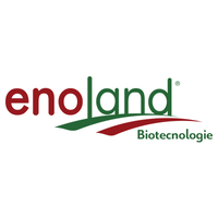 Enoland Srl logo, Enoland Srl contact details