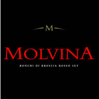 Molvina Wine logo, Molvina Wine contact details