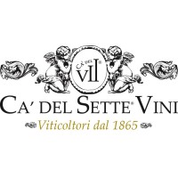 CA' DEL SETTE logo, CA' DEL SETTE contact details