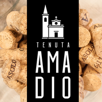 TENUTA AMADIO logo, TENUTA AMADIO contact details