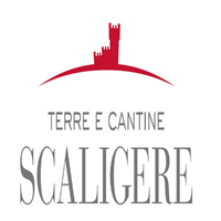 Terre e Cantine Scaligere Srl logo, Terre e Cantine Scaligere Srl contact details