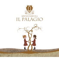 Il Palagio di Panzano logo, Il Palagio di Panzano contact details