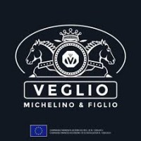 Veglio Michelino & Figlio logo, Veglio Michelino & Figlio contact details