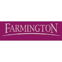 FARMINGTON NATURAL STONE LIMITED logo, FARMINGTON NATURAL STONE LIMITED contact details