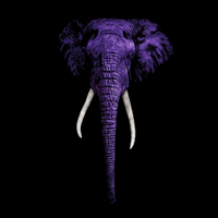 PURPLED ELEPHANT logo, PURPLED ELEPHANT contact details