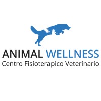 Animal Wellness fisioterapia logo, Animal Wellness fisioterapia contact details