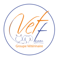 Groupe Vétérinaire Vetteam logo, Groupe Vétérinaire Vetteam contact details