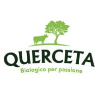 Querceta logo, Querceta contact details