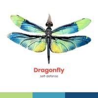 Dragonfly difesa femminile logo, Dragonfly difesa femminile contact details