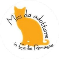 Mici da Adottare in Emilia Romagna logo, Mici da Adottare in Emilia Romagna contact details