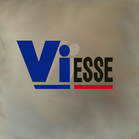 ViEsse srl logo, ViEsse srl contact details