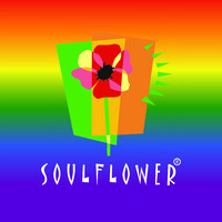 Soulflower Co Ltd logo, Soulflower Co Ltd contact details