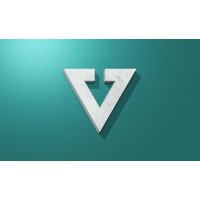 Virtus Srl logo, Virtus Srl contact details