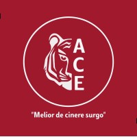 ACE - Association for Culture and Entertainment logo, ACE - Association for Culture and Entertainment contact details