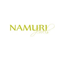 Namuri Sud Italia logo, Namuri Sud Italia contact details