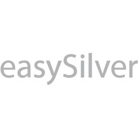 Easy Silver Srl logo, Easy Silver Srl contact details