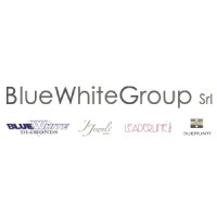 Blue White Group S.r.l. logo, Blue White Group S.r.l. contact details