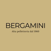 BERGAMINI1960 srl logo, BERGAMINI1960 srl contact details