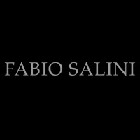 FABIO SALINI logo, FABIO SALINI contact details