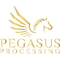 PEGASUS PROCESSING logo, PEGASUS PROCESSING contact details