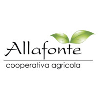 Allafonte Cooperativa Agricola logo, Allafonte Cooperativa Agricola contact details