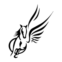 Pegasus Planning logo, Pegasus Planning contact details