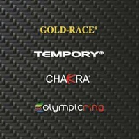 Gold Race - Cecchini Team Srl logo, Gold Race - Cecchini Team Srl contact details