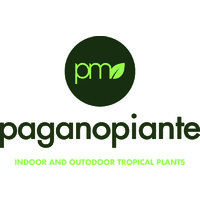 Paganopiante logo, Paganopiante contact details