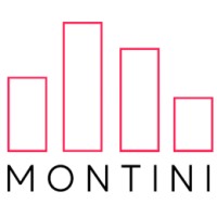 Montini Web Agency logo, Montini Web Agency contact details