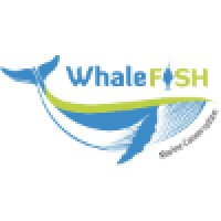 Whalefish logo, Whalefish contact details