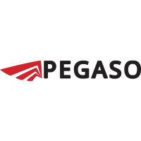 Pegaso Servizi Srl logo, Pegaso Servizi Srl contact details