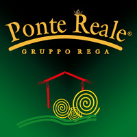 Ponte Reale s.r.l. logo, Ponte Reale s.r.l. contact details