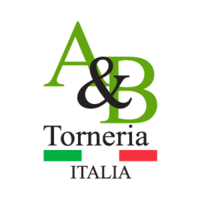 AEB Torneria Automatica S.r.l. logo, AEB Torneria Automatica S.r.l. contact details