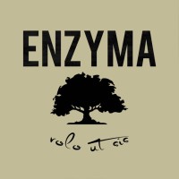 Enzyma logo, Enzyma contact details